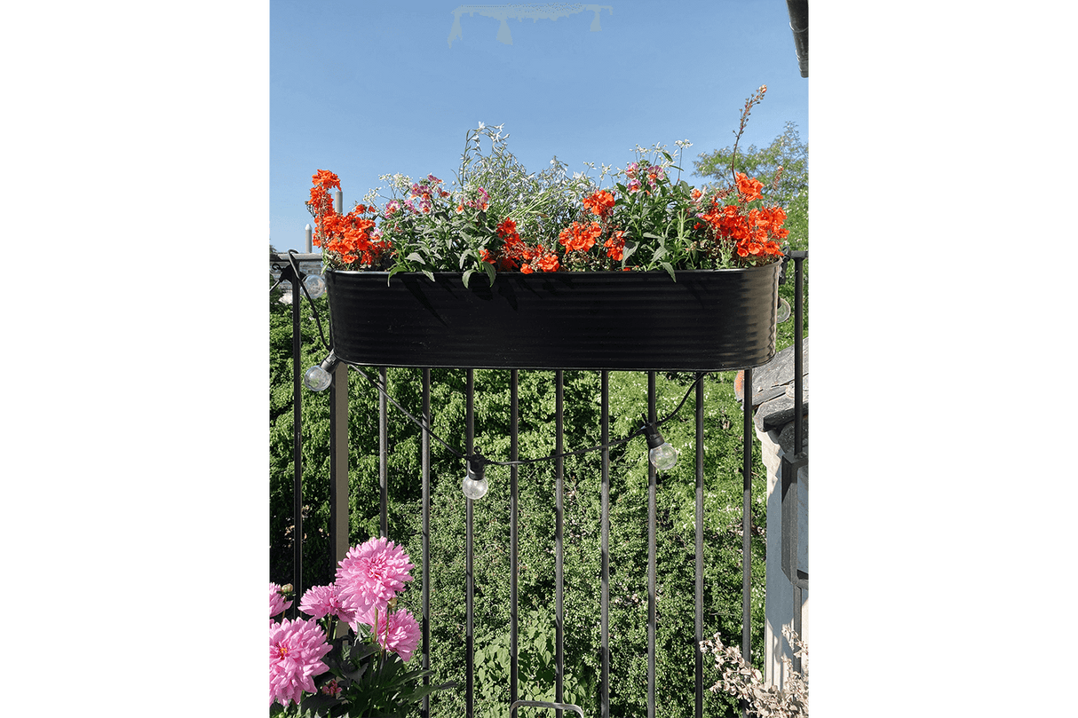 Olga black balcony flower box 60 cm