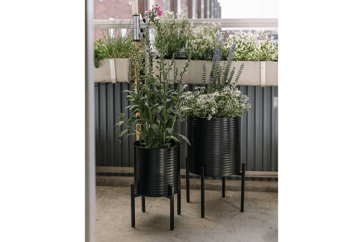 Rosa Rillo set of 2 flowerpots