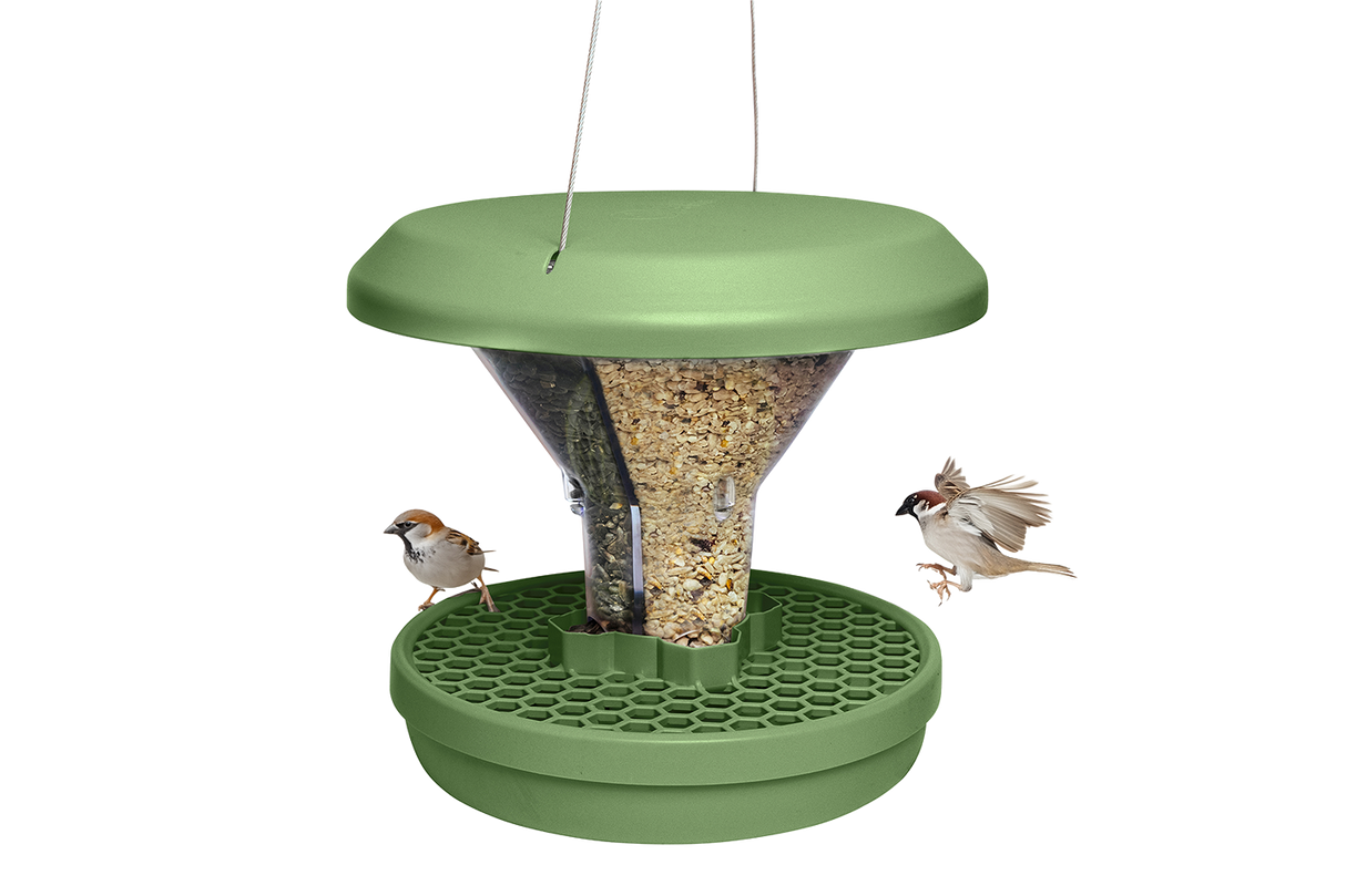 Davos bird feeder