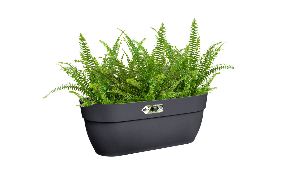 Vibia campana balcony flower box