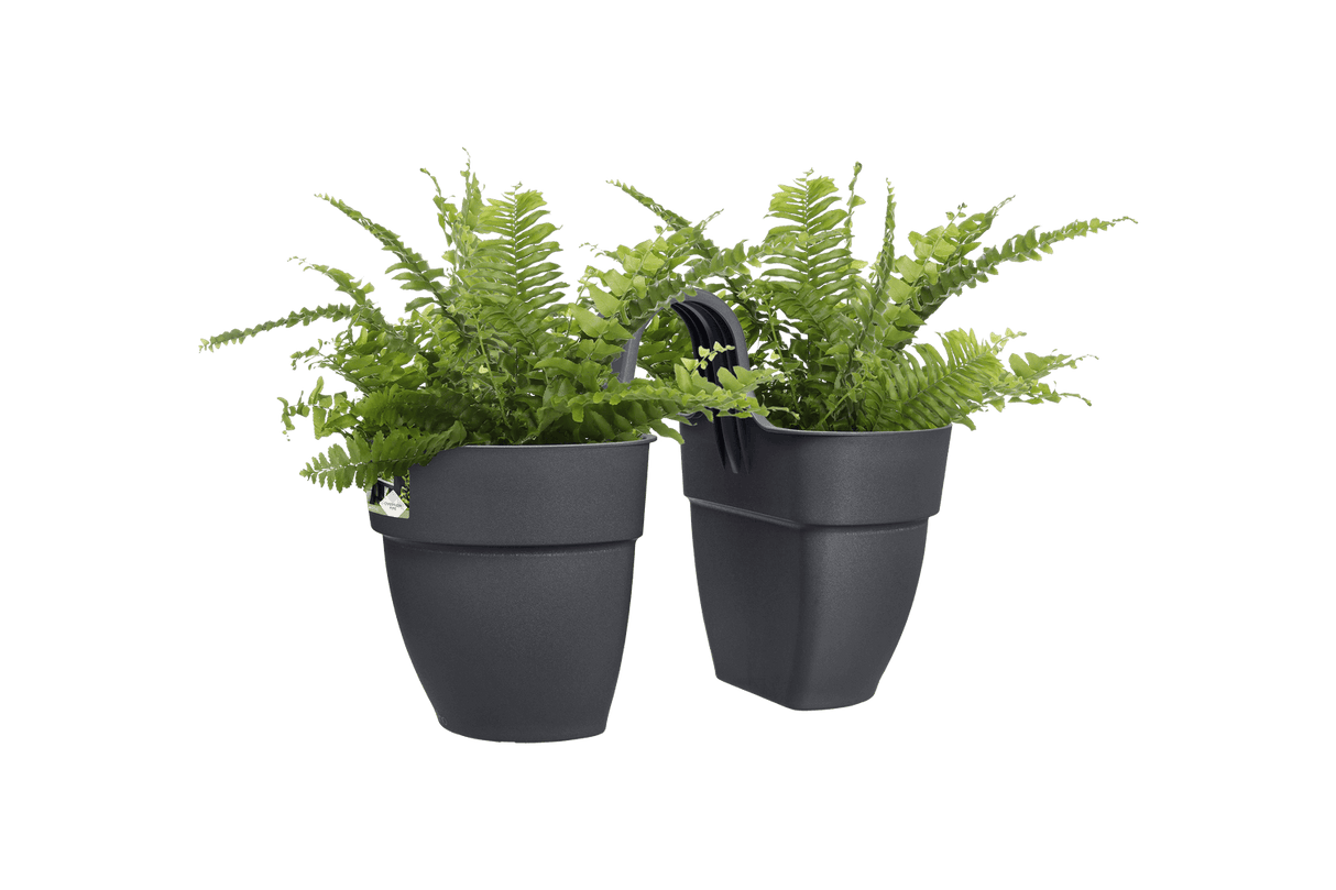 Vibia campana double flowerpot