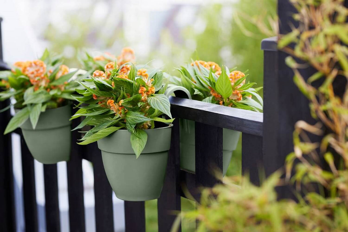 Vibia campana double flowerpot