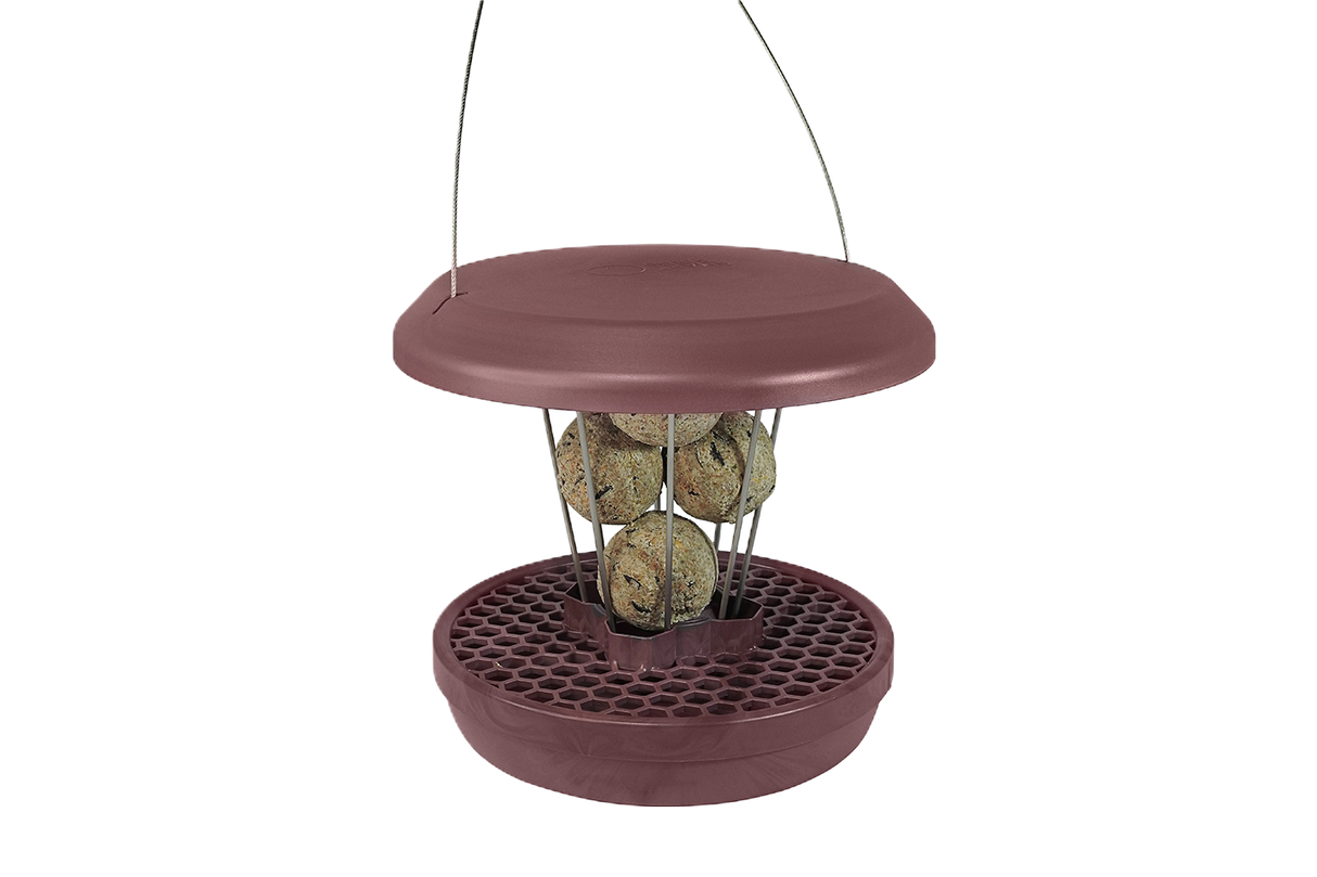 Lucerne bird feeder