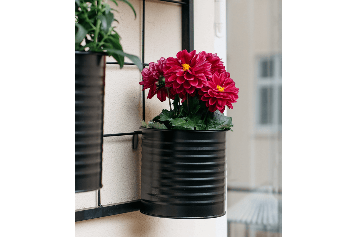 Rut Rillo black plant box for wall grid Ø14 / Ø17 cm