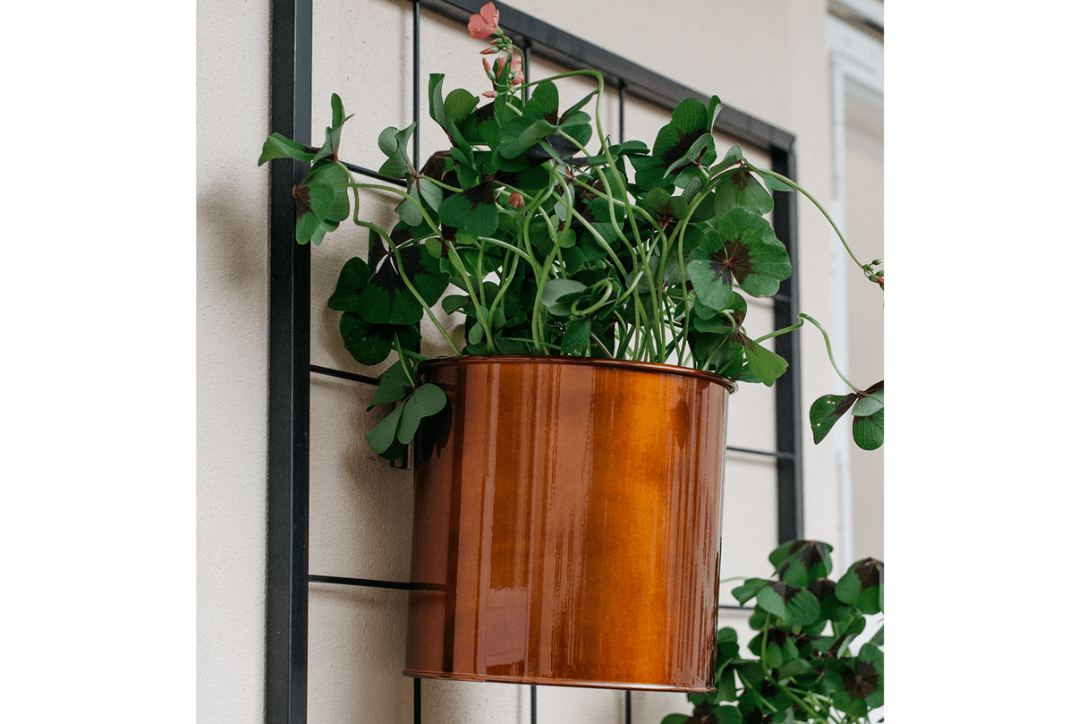 Rut copper plant box for wall grid Ø14 / Ø17 cm