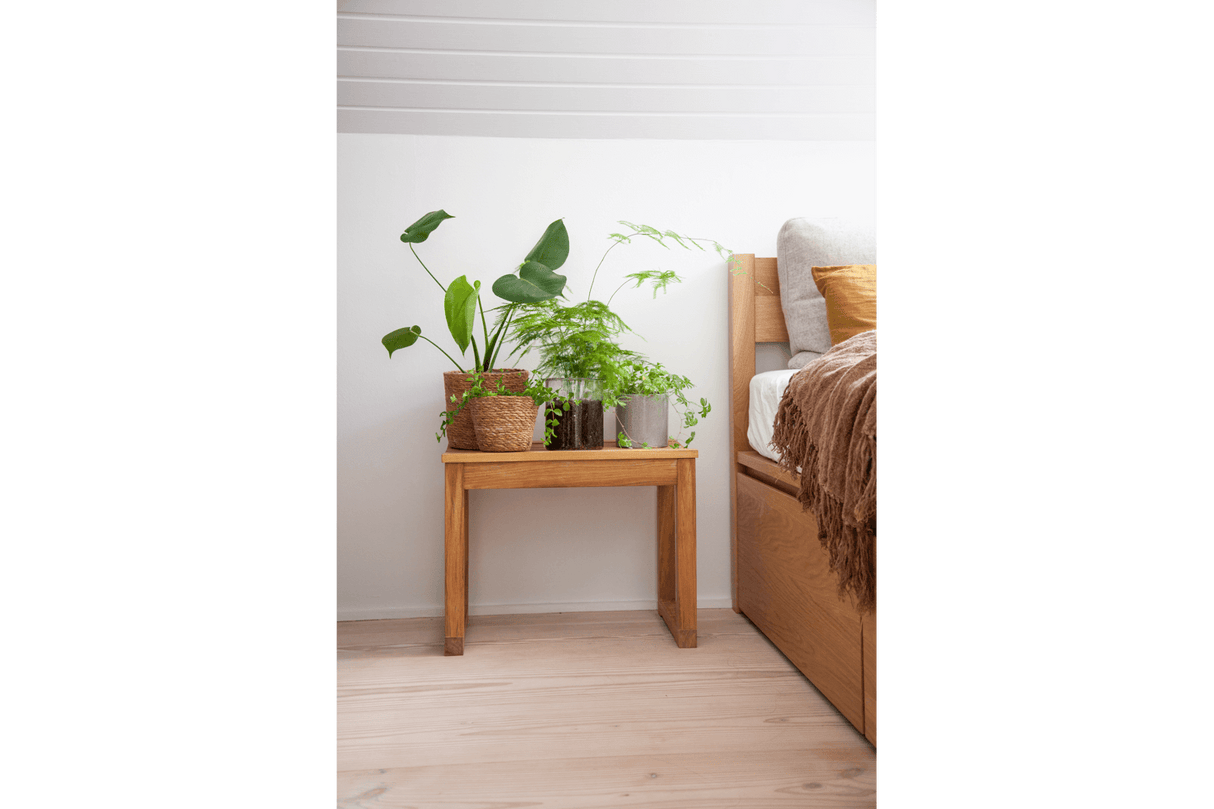 Vega stool 55 x 40 cm