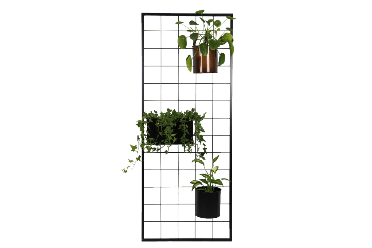 Fiona green plant box for wall grid 14 x 14 / 17 x 17 cm