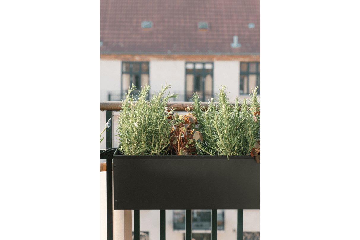 Liva black balcony flower box with self-watering system 60 / 80 / 100 cm