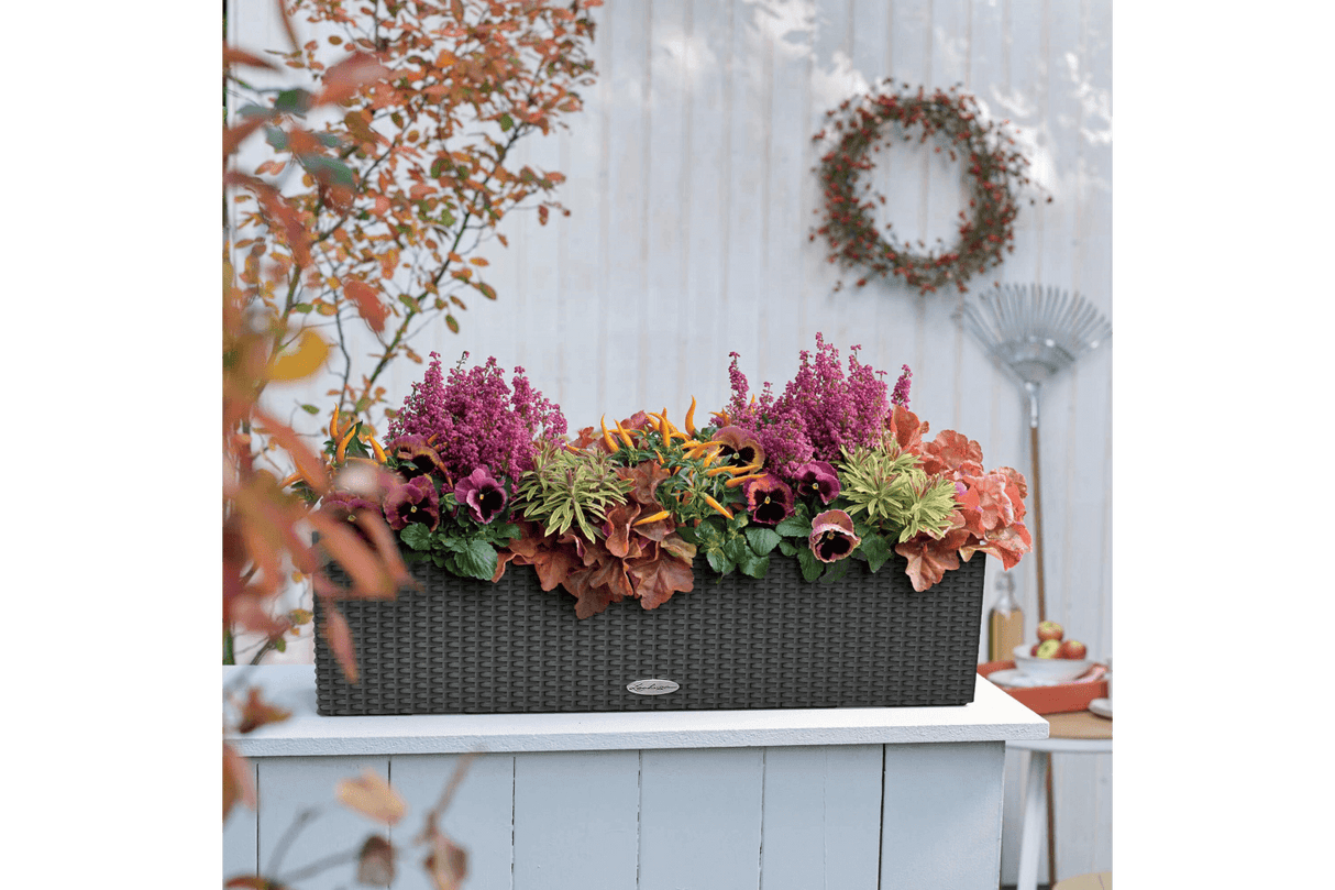 Cottage balcony flower box with self watering system 80 cm