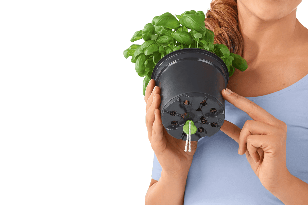 Lechuza sticks for self watering pots 6 stk