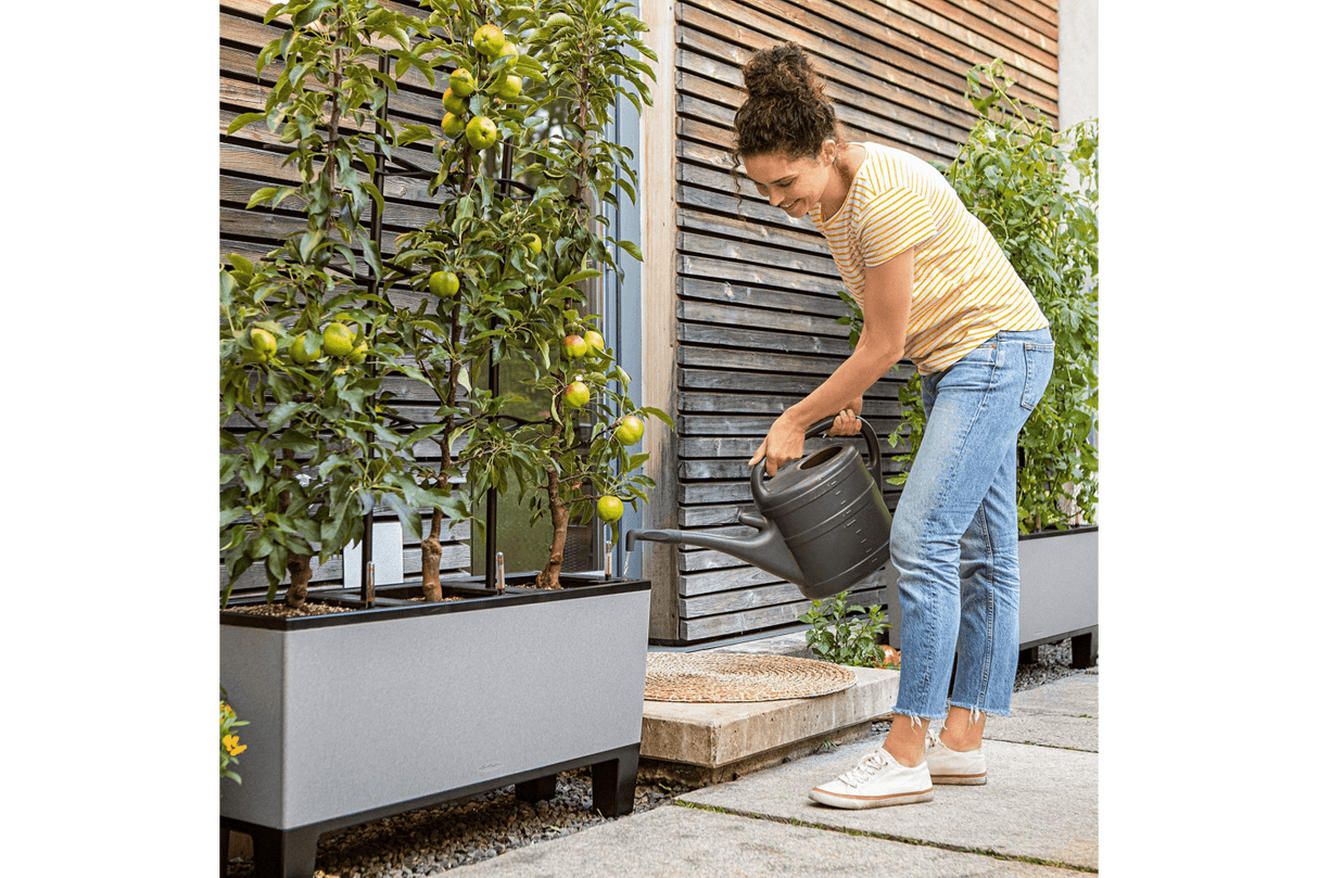 Trellis for Trio stone planter