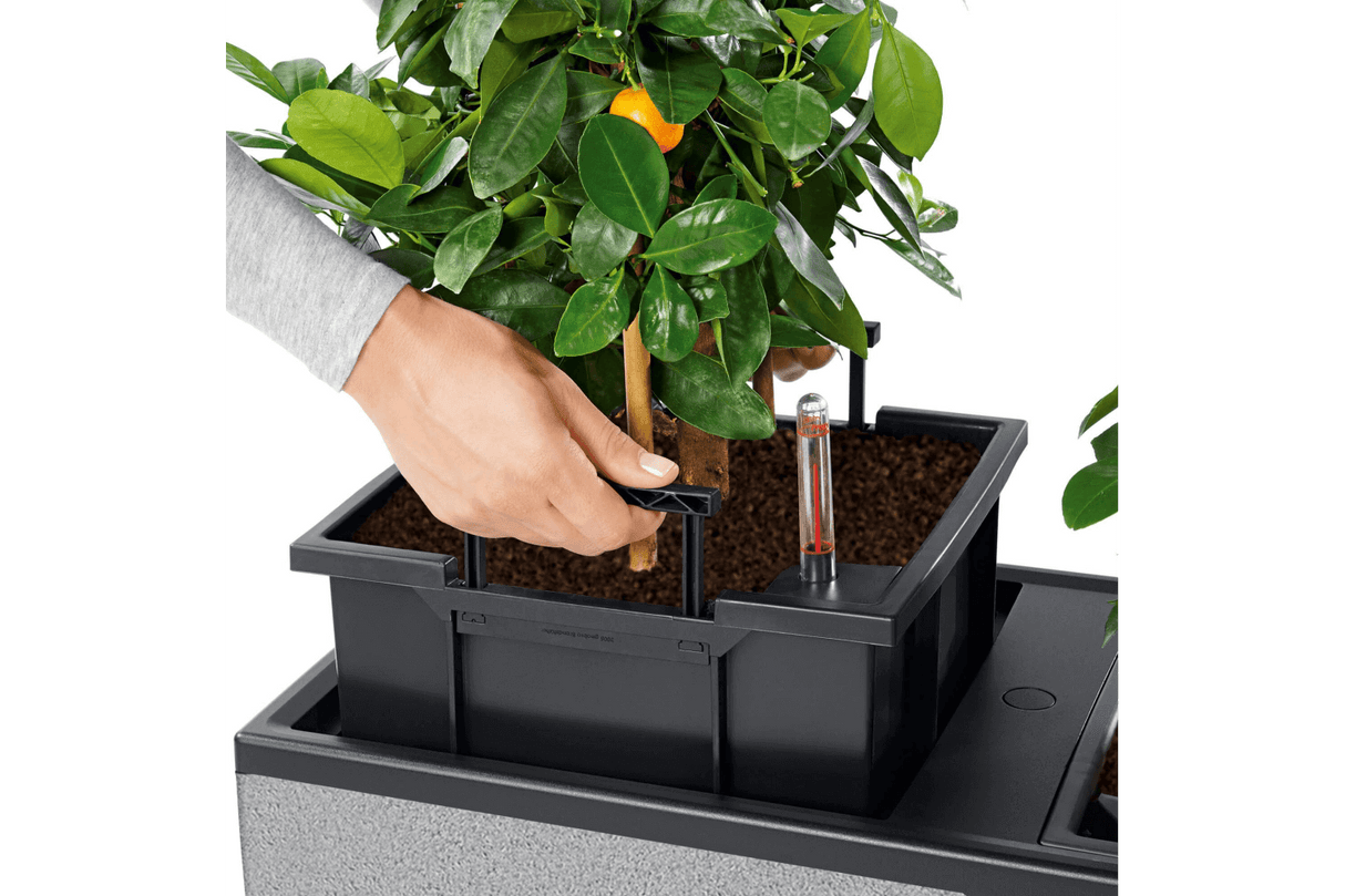 Trio stone planter 100 cm