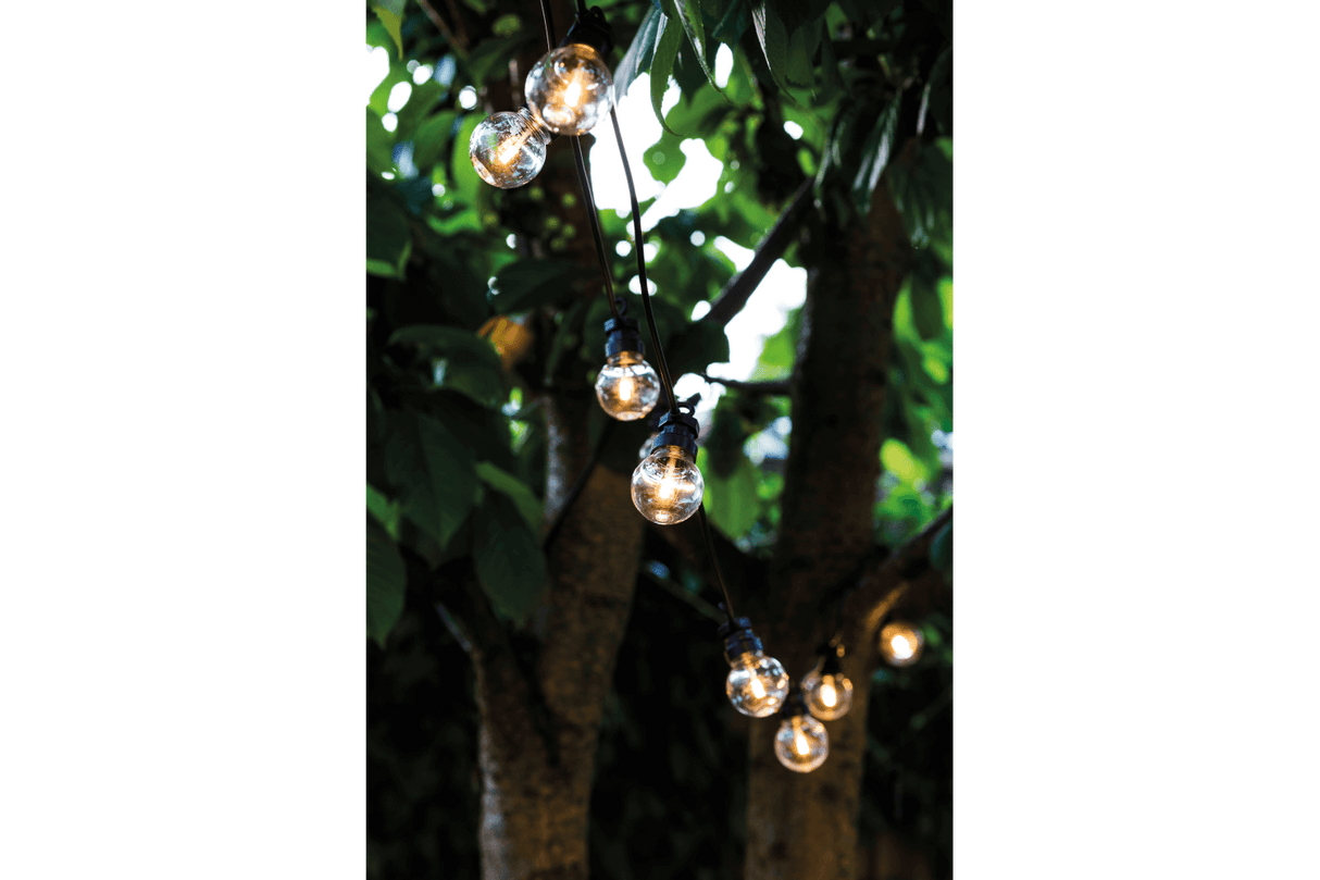 Lucas starter kit 10 clear light bulbs