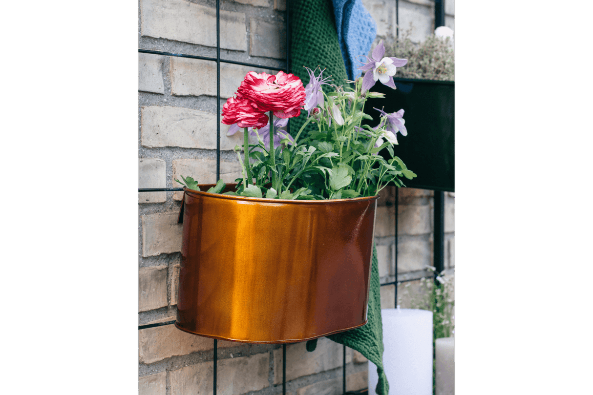 Ovalina copper plant box for wall grid 30 x 17 cm
