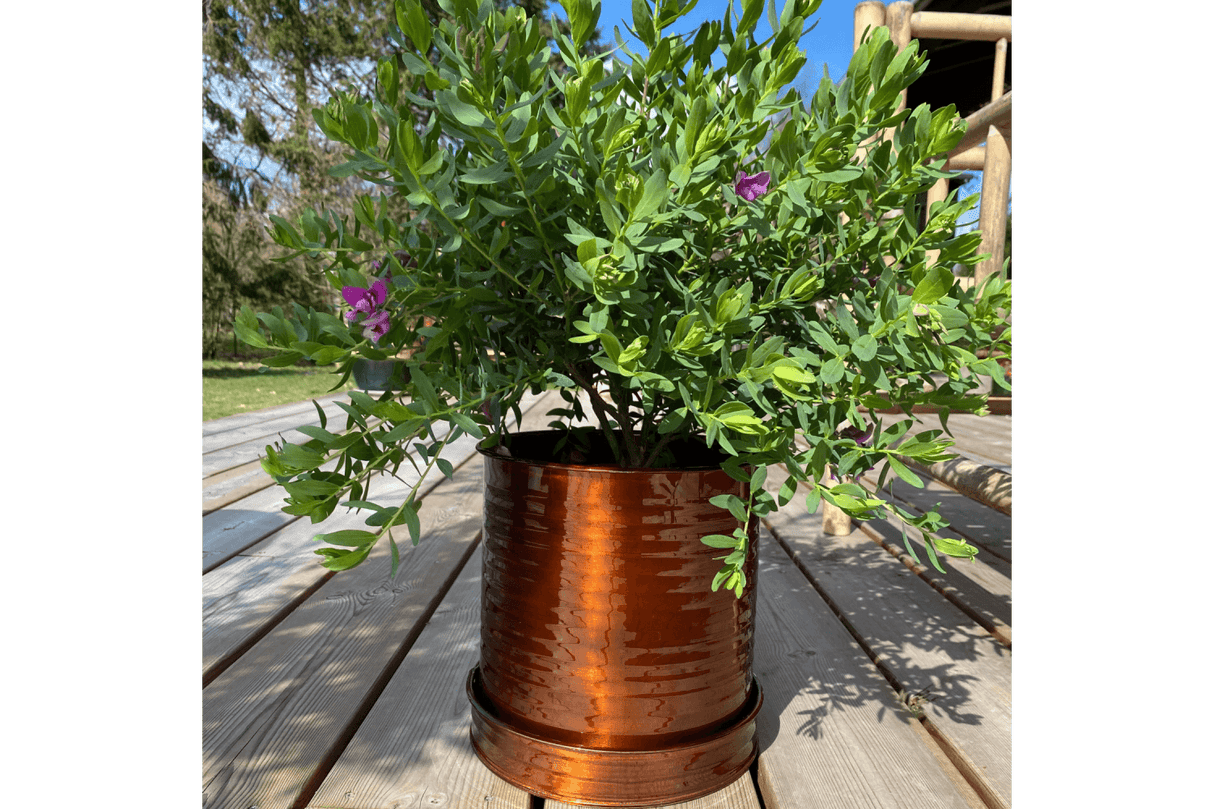 Rita Rillo flowerpot Ø17 cm