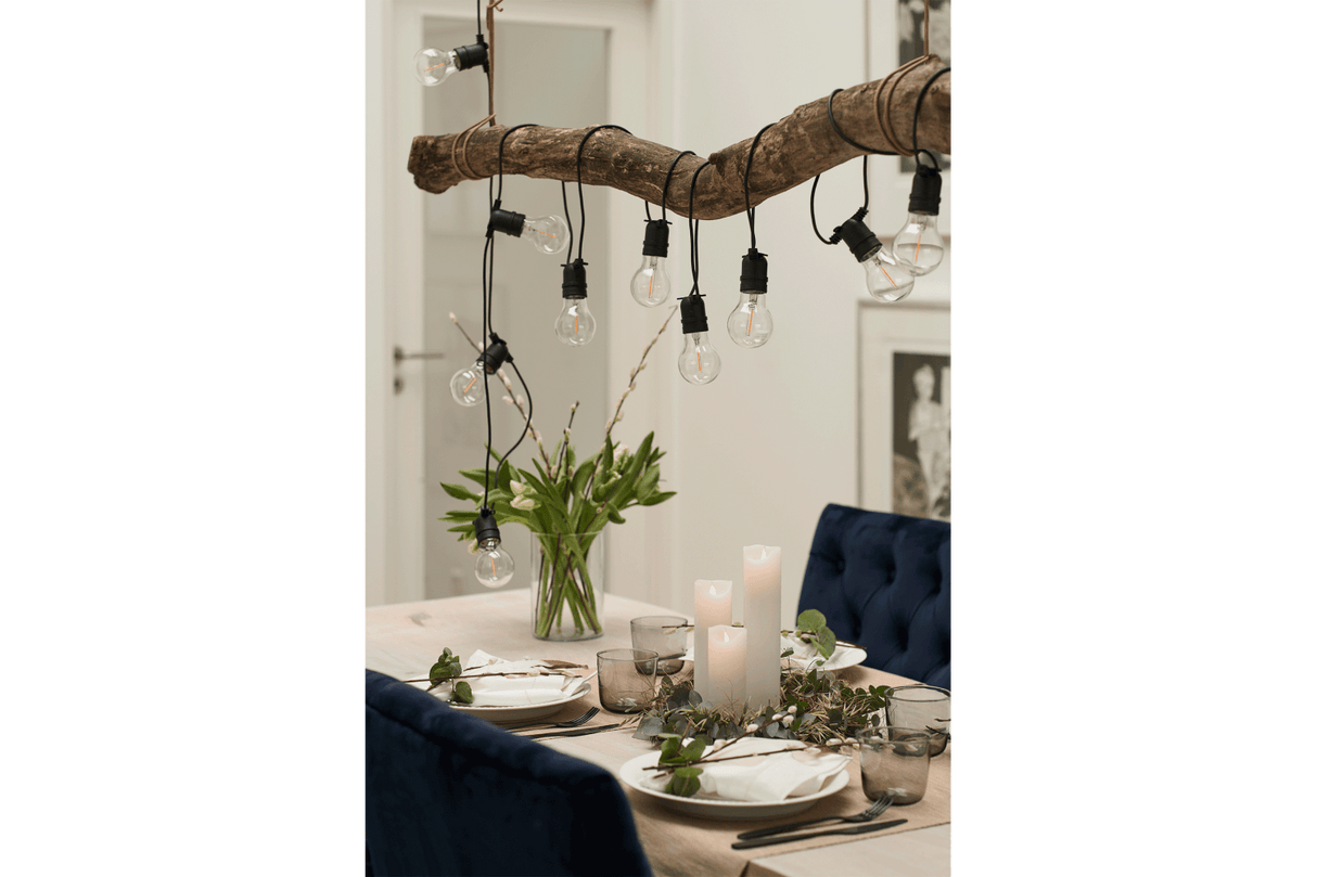 Tobias starter kit 10 clear light bulbs