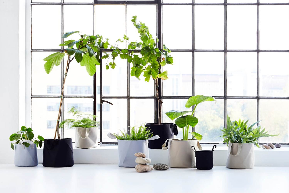 Vertical hanging flowerpots for wall and ceiling