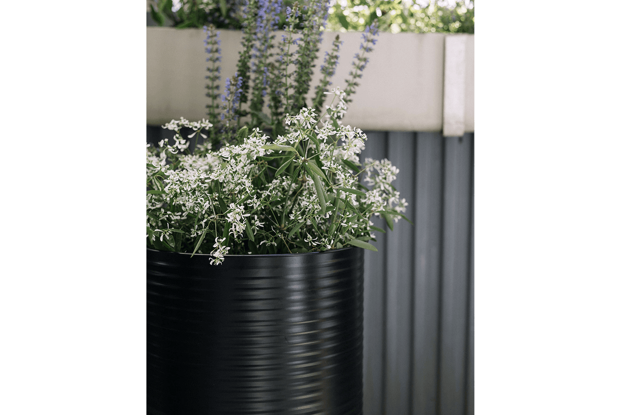 Rosa Rillo set of 2 flowerpots