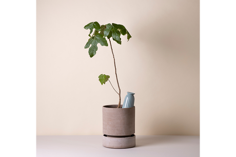 Cove ceramic watering tube for pots