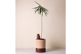 Cove ceramic watering tube for pots