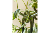 Folk Yuma ceramic plant stake