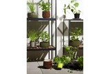 Greenhouse cabinet – small