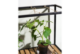 Greenhouse cabinet – large