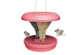 Davos bird feeder