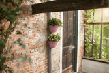 Vibia campana flowerpot for drainpipes