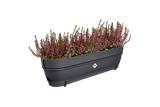 Vibia campana trough balcony flower box all-in-1 50 / 70 cm