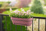 Vibia campana trough balcony flower box all-in-1 50 / 70 cm