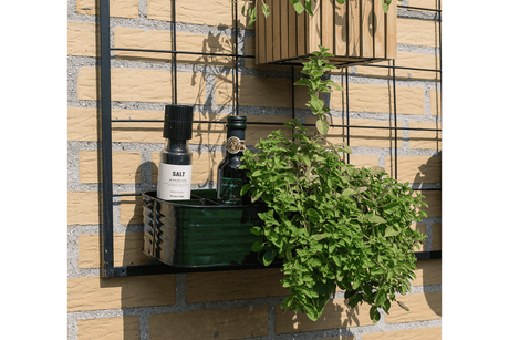 Fie plant box for grid 32 x 16 cm