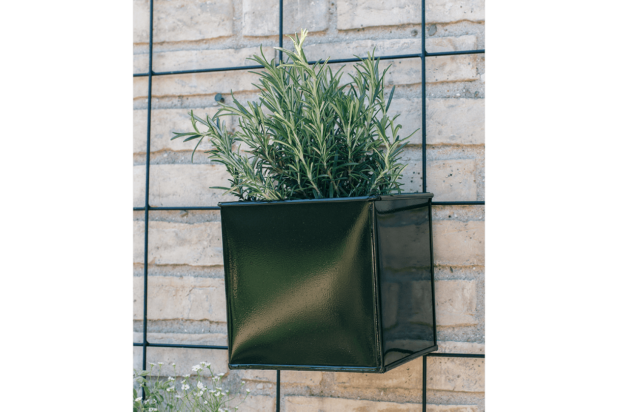 Fiona green plant box for wall grid 14 x 14 / 17 x 17 cm
