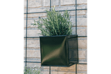 Fiona green plant box for wall grid 14 x 14 / 17 x 17 cm