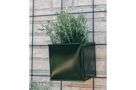 Fiona green plant box for wall grid 14 x 14 / 17 x 17 cm