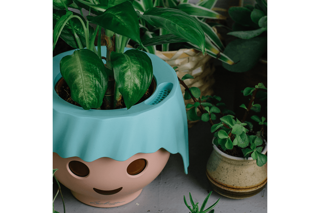 Playmobil plant head