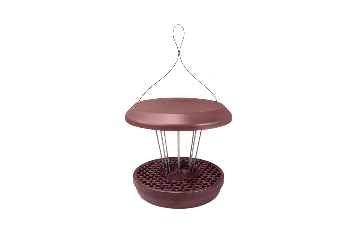 Lucerne bird feeder