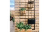 Malou teak plant box for wall grid 17 x 17 cm