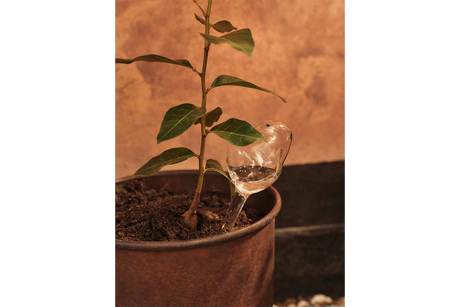 Mercury watering globes