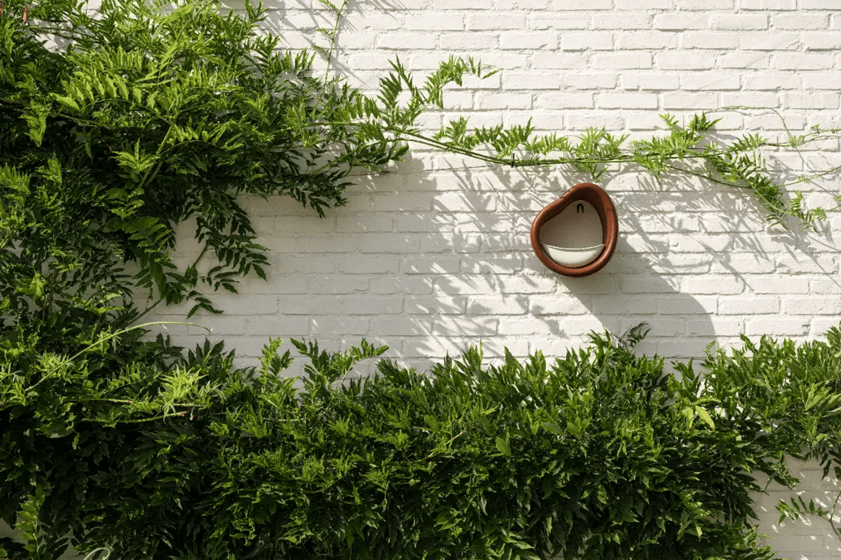 Organic bird feeder