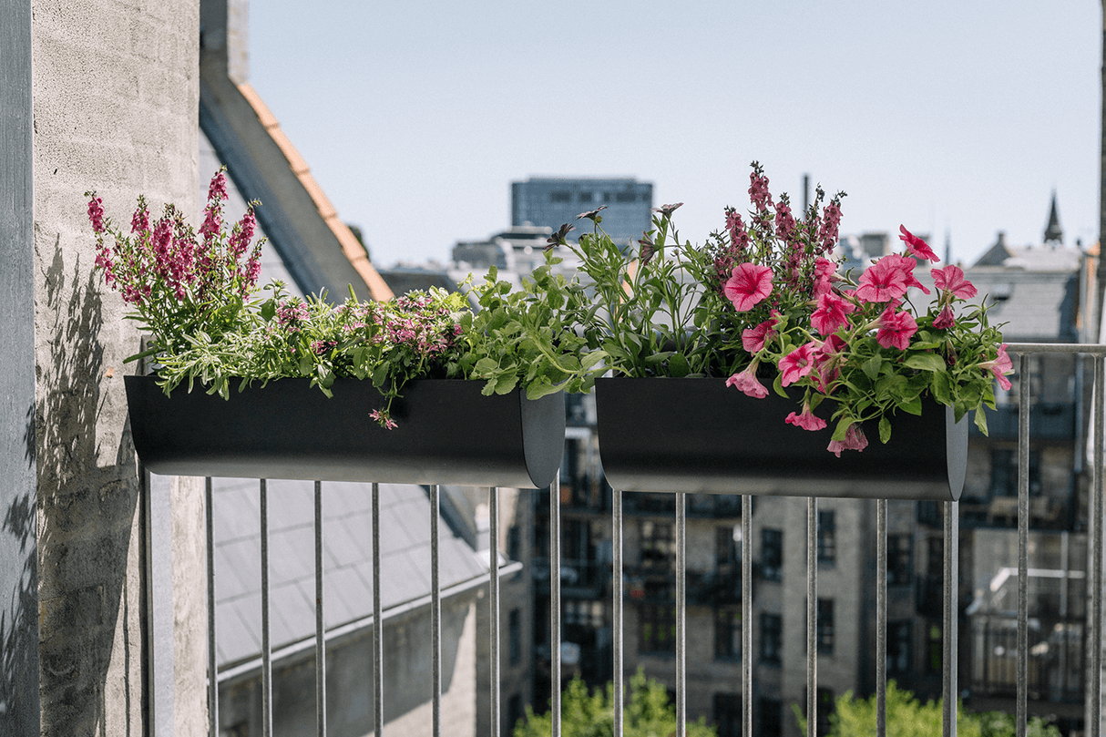 Uma balcony flower box