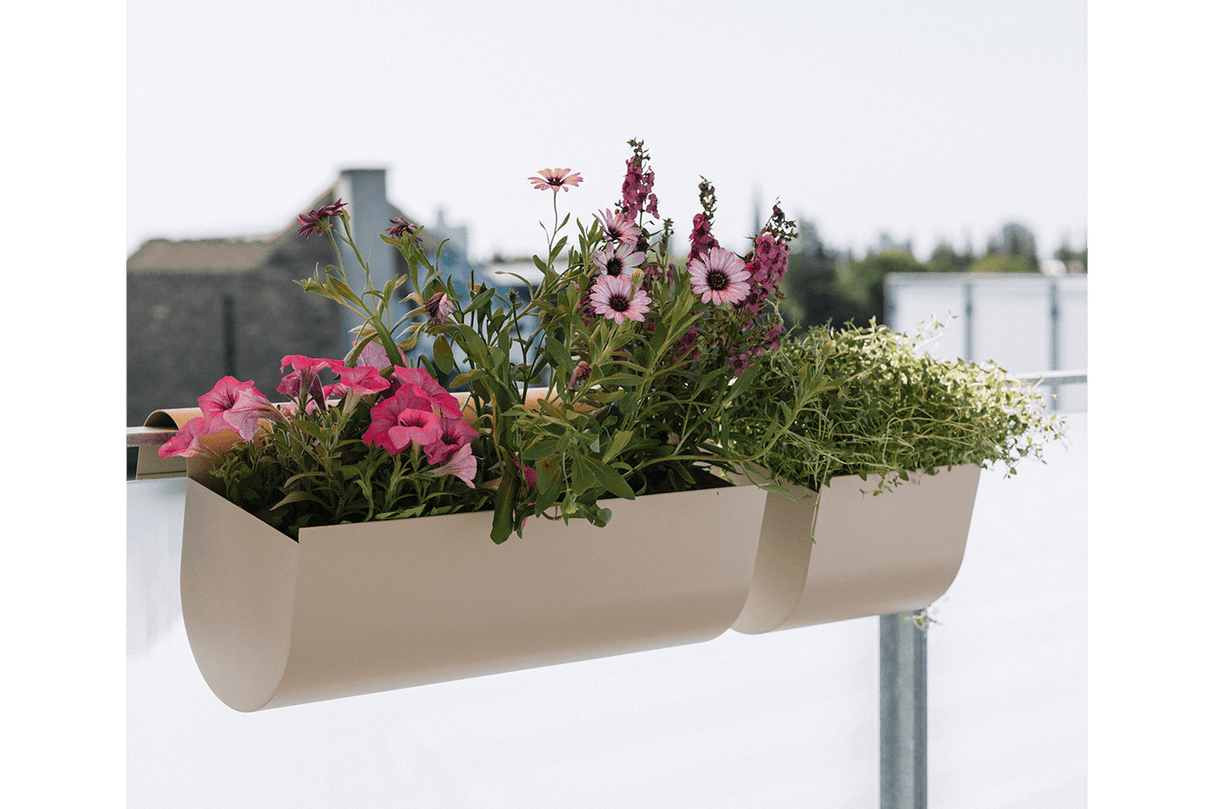Uma balcony flower box