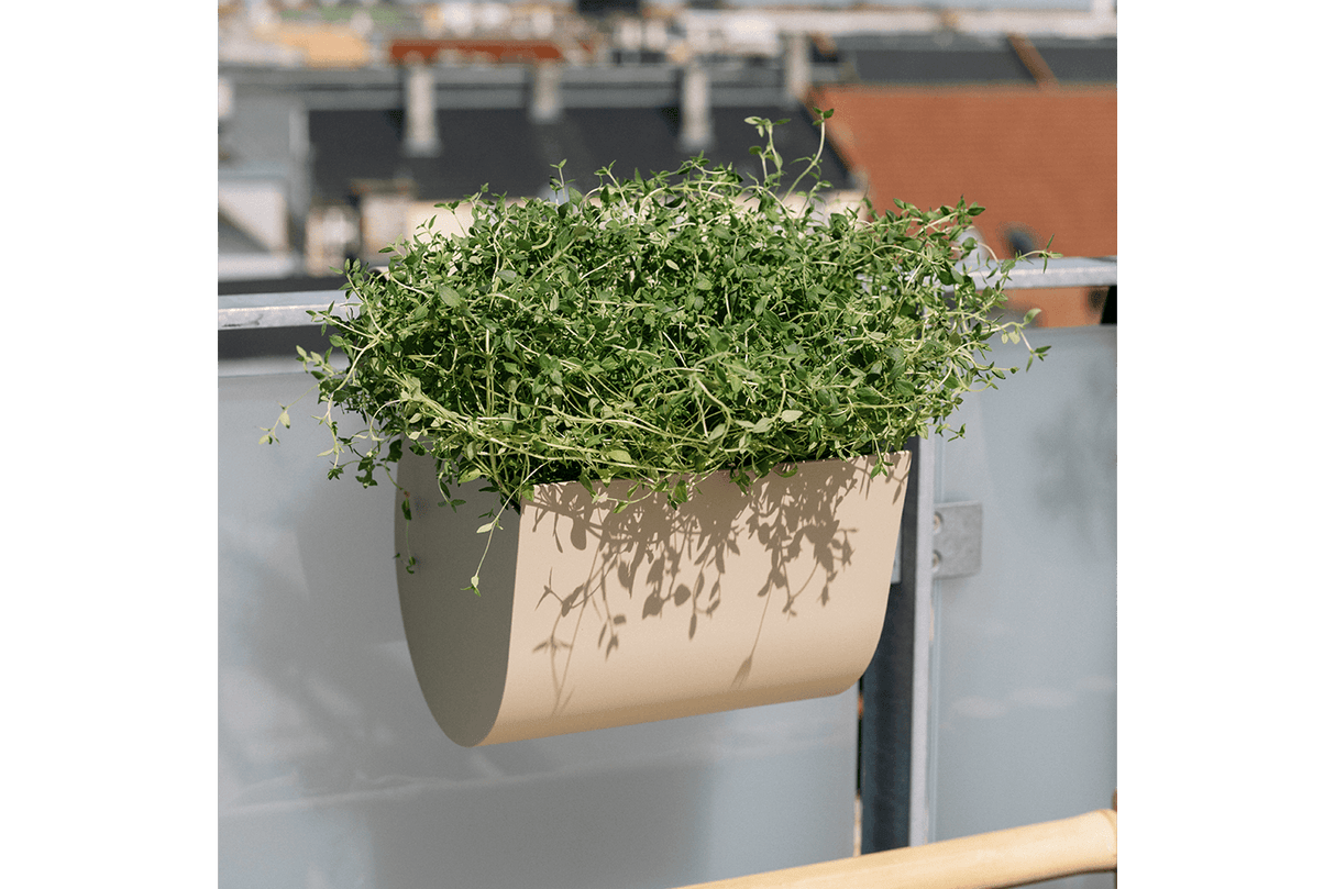 Uma balcony flower box