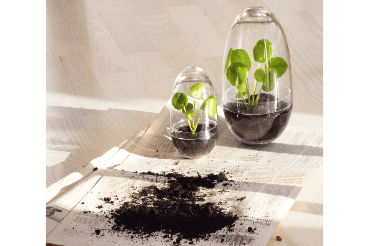 Grow Greenhouse Design House Stockholm