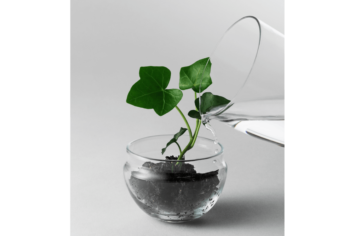 Grow Greenhouse Design House Stockholm