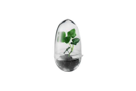 Grow Greenhouse Design House Stockholm