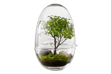 Grow Greenhouse Design House Stockholm