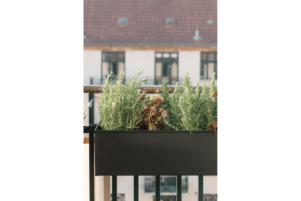 Liva black balcony flower box 60 / 80 / 100 cm