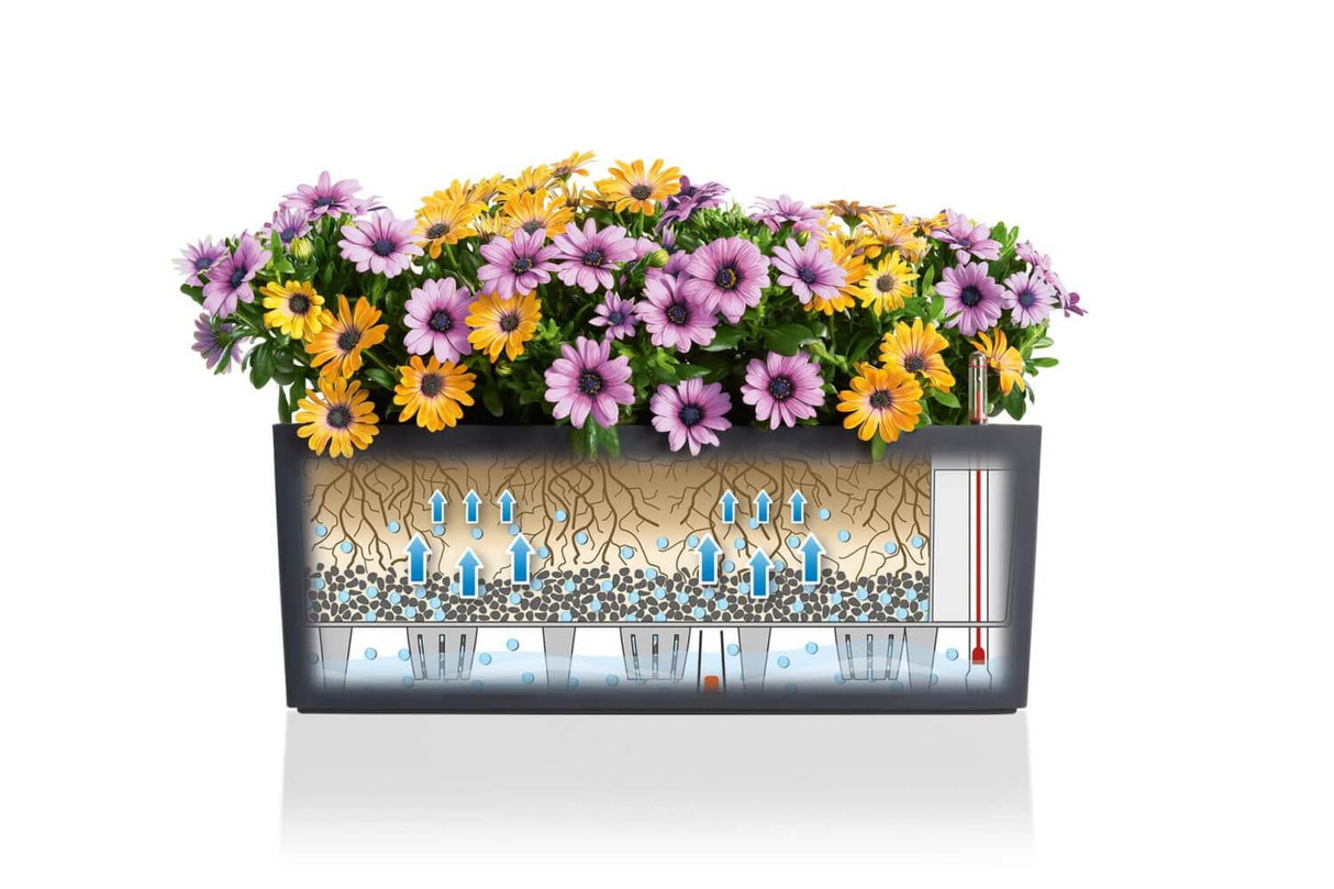 Cottage balcony flower box with self watering system 50 cm