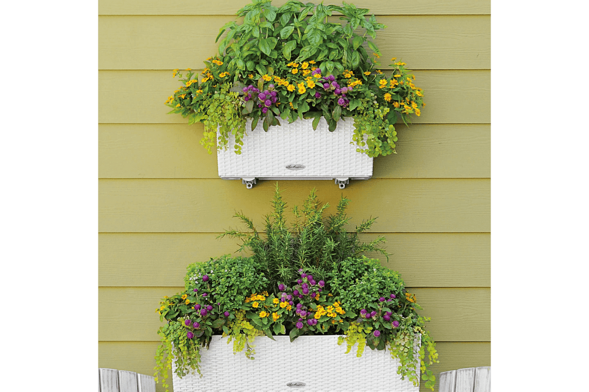 Cottage balcony flower box with self watering system 50 cm